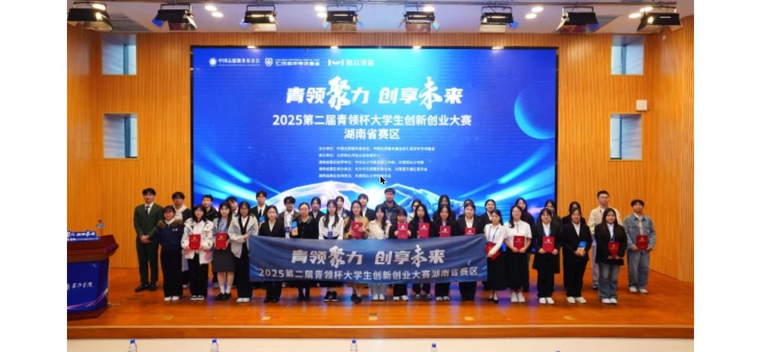 2025第二届“青领杯”大学生创新创业大赛湖南赛区圆满收官，周文强、杨韵冉助力青年创业